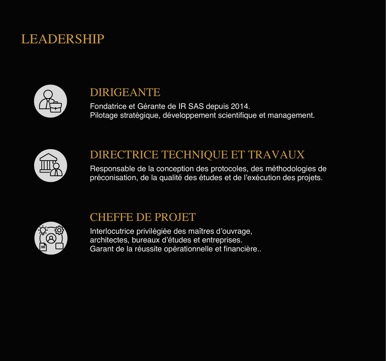 Pagina Leadership del book, su fondo nero: tre ruoli, ciascuno con un’icona e un titolo dorato